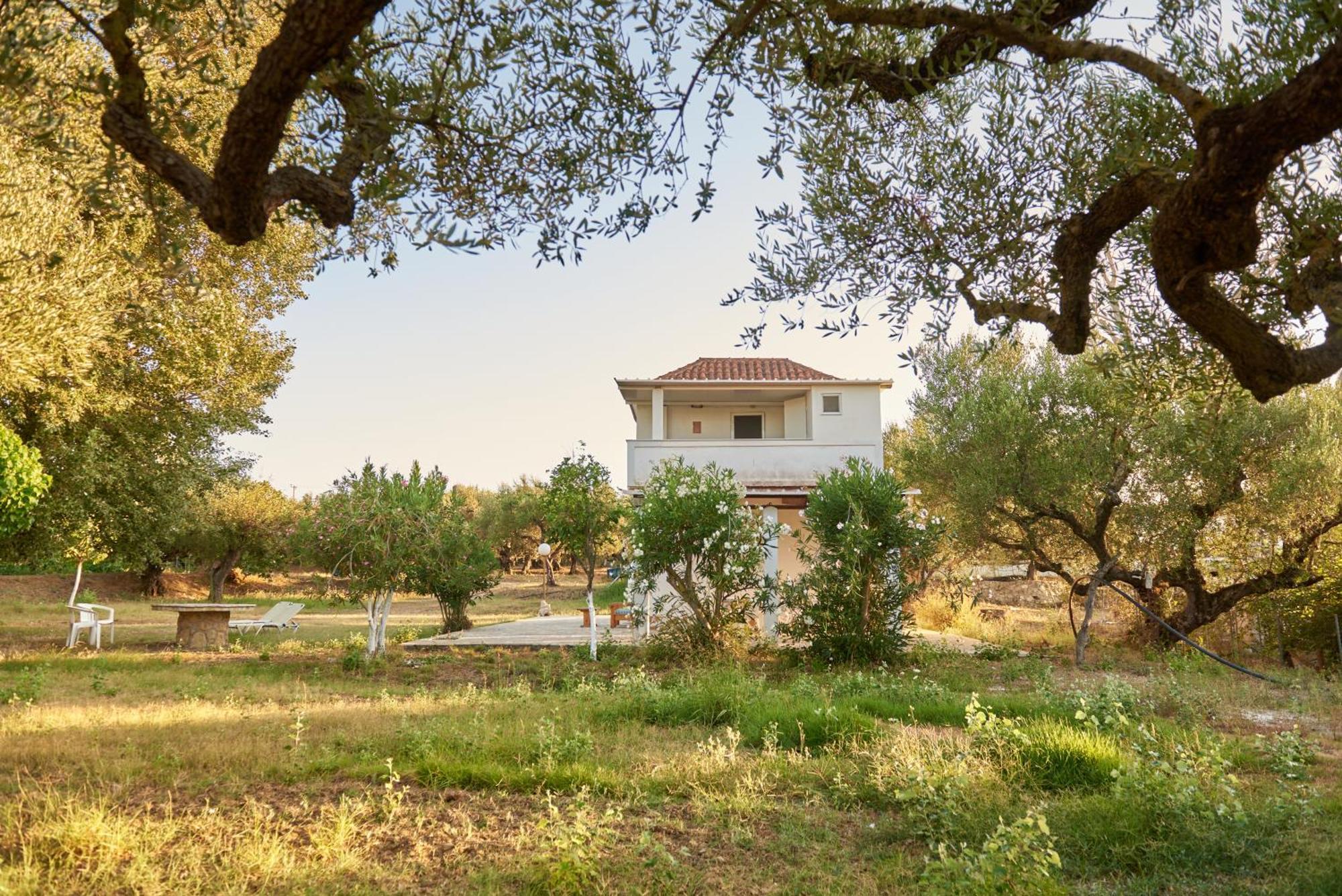 Villa Rania / Zante Drosia Kypseli Eksteriør bilde