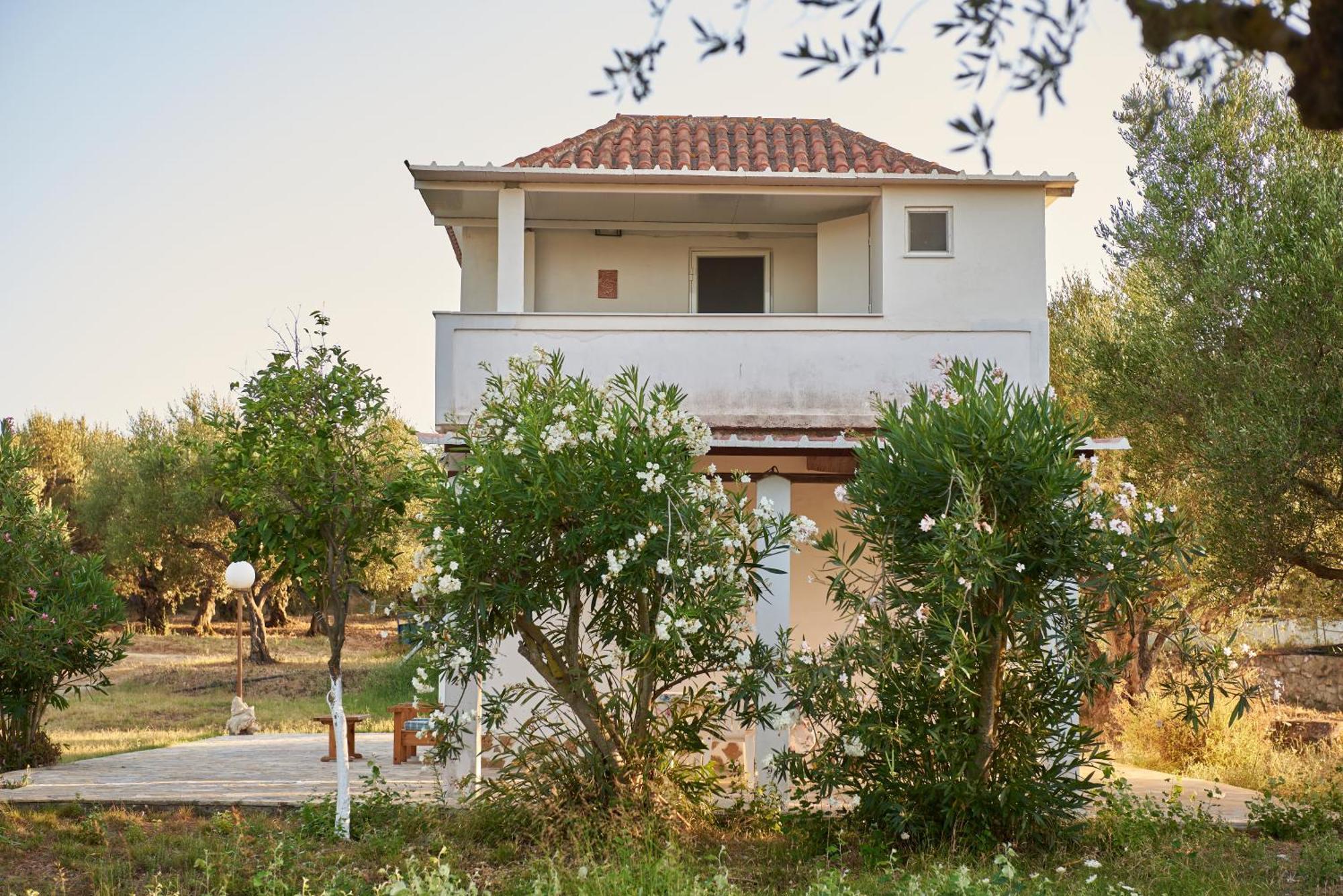 Villa Rania / Zante Drosia Kypseli Eksteriør bilde