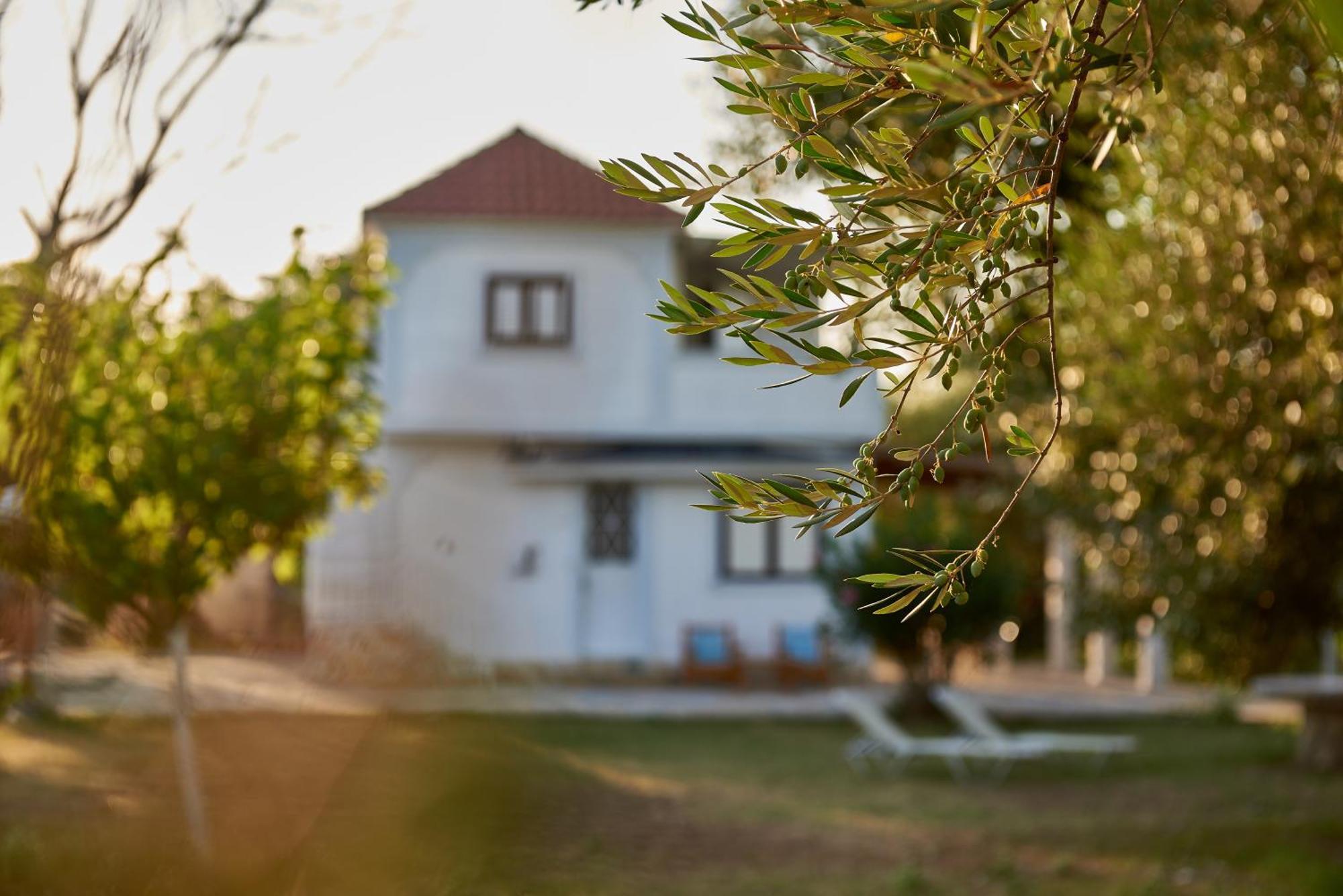 Villa Rania / Zante Drosia Kypseli Eksteriør bilde