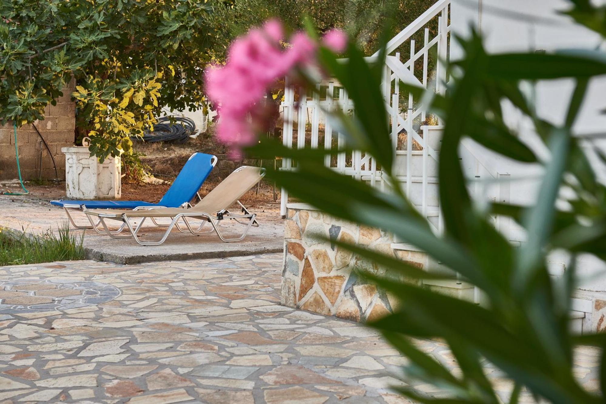Villa Rania / Zante Drosia Kypseli Eksteriør bilde